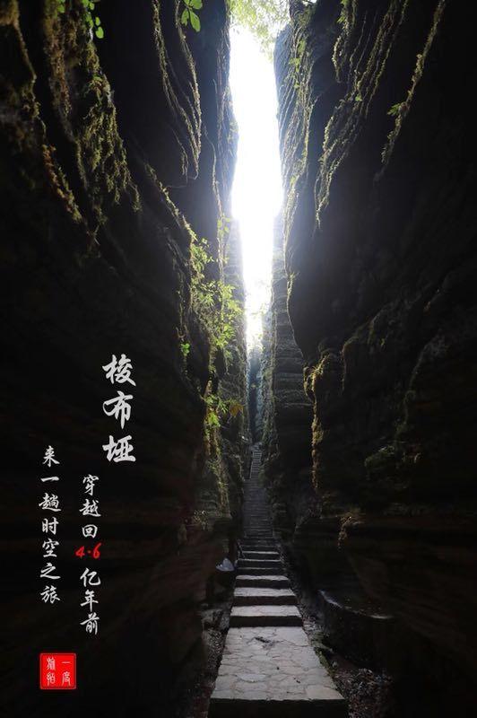 日系纯电SUV+1 东风本田e:NS2申报图曝光