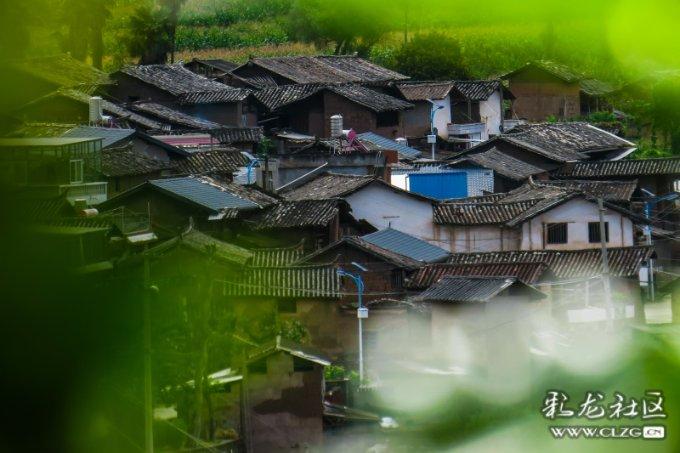 植物大战僵尸18